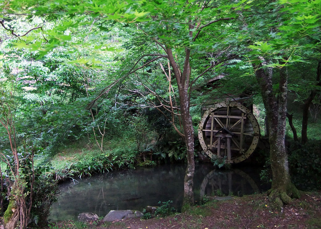 京をひとかじり