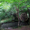 京をひとかじり