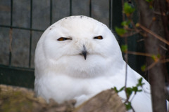 なんですかその顔は