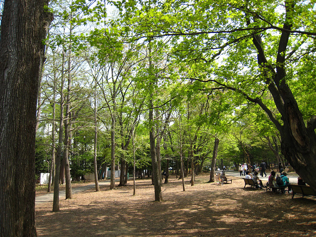 春の円山公園