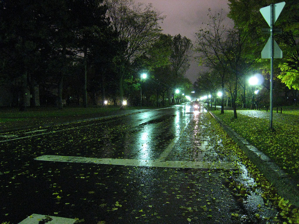 夜の大学