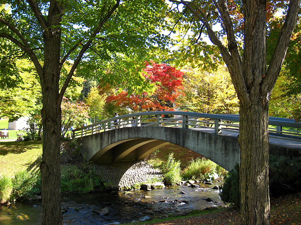 滝野