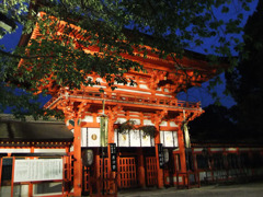 夜の下鴨神社