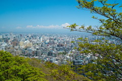 初夏の円山遠景