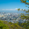 初夏の円山遠景