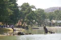 平泉毛越寺