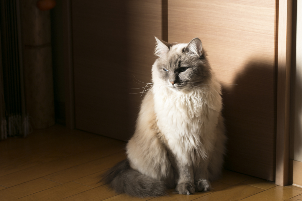 シブく極めてみました＾＾