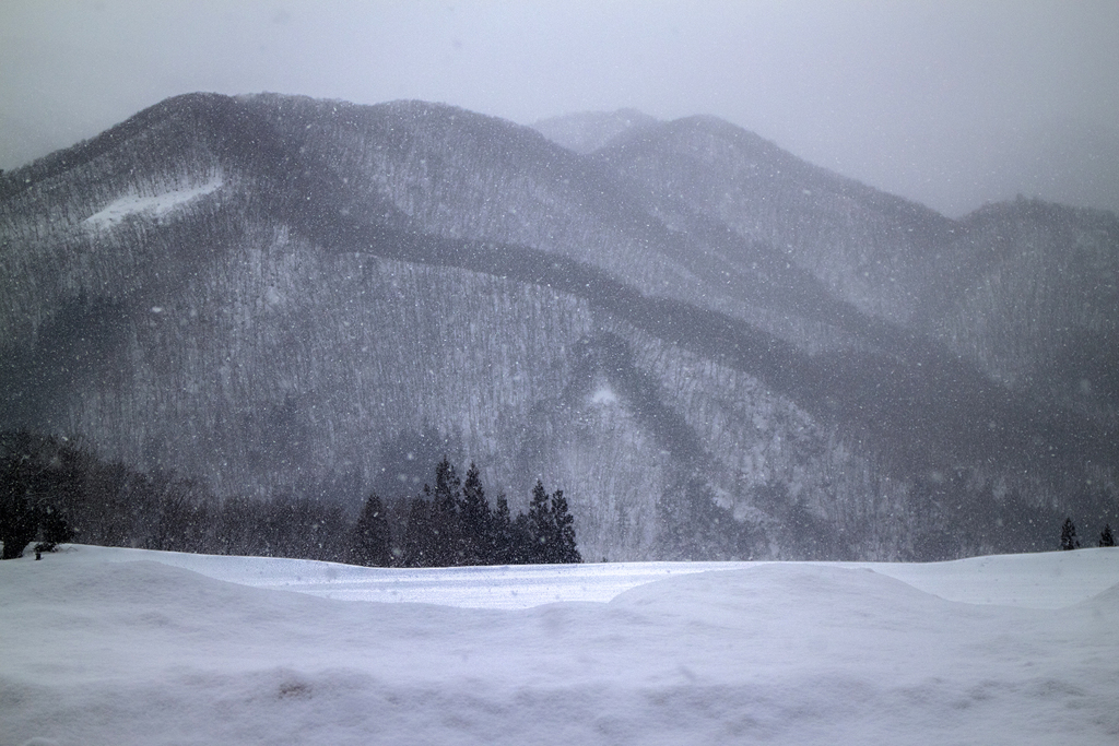 奥利根の雪景 09