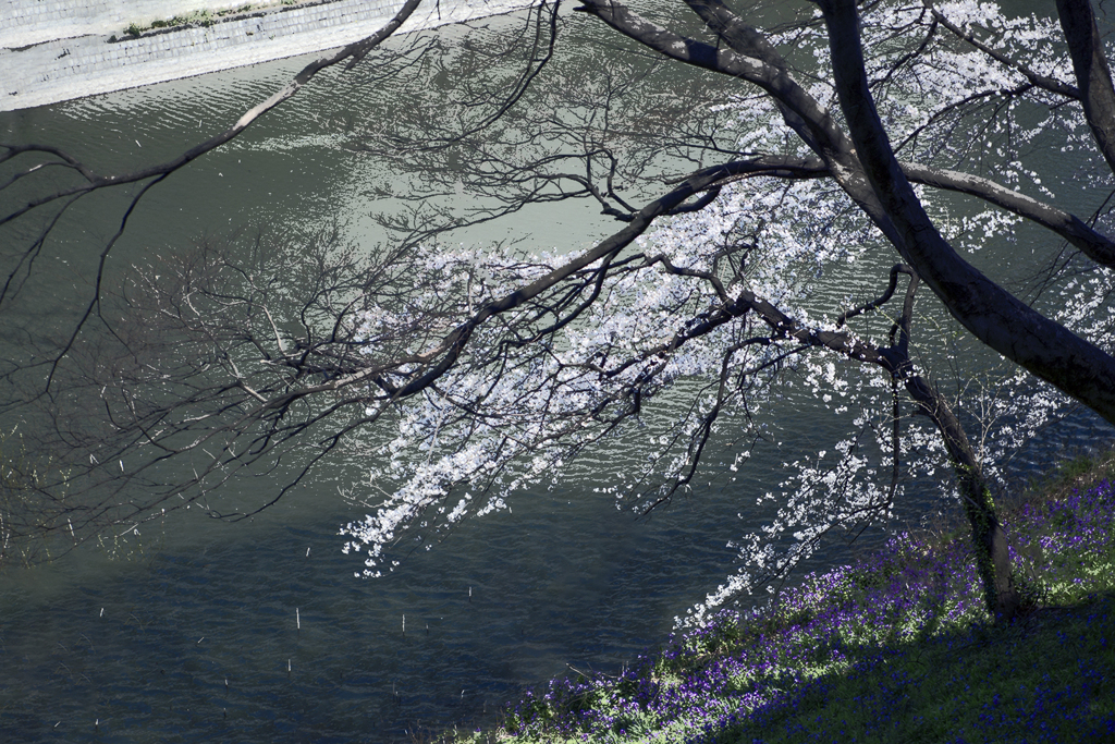 北の丸公園 02