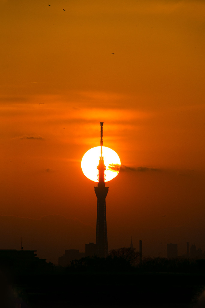 スカイツリーストライク