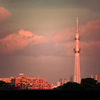 淡い朝焼けに映えるスカイツリー