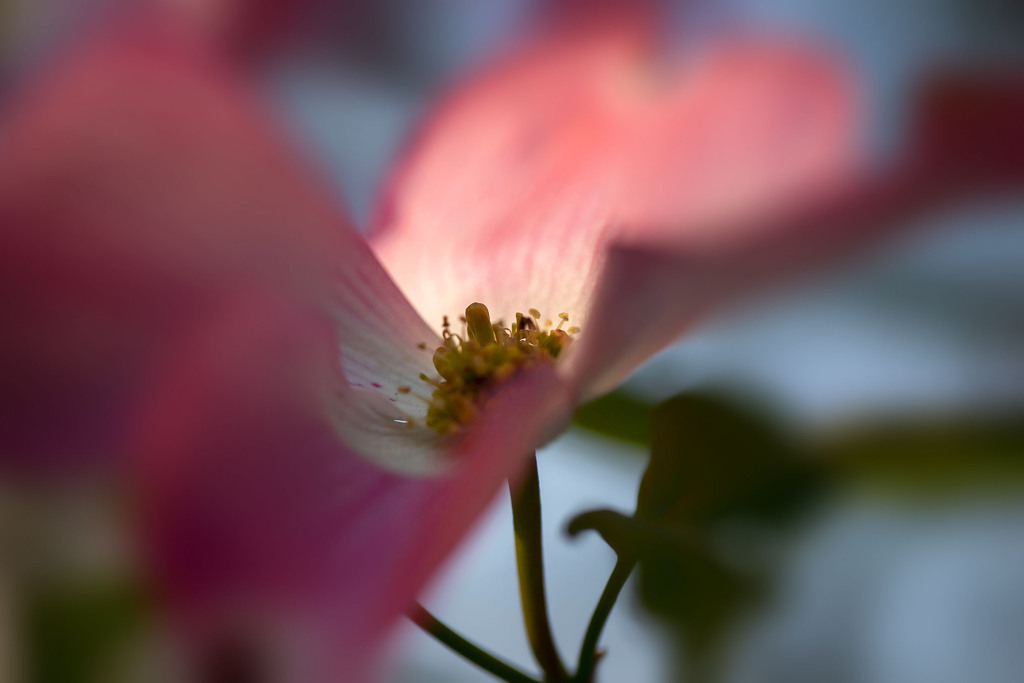 花咲く街角 04