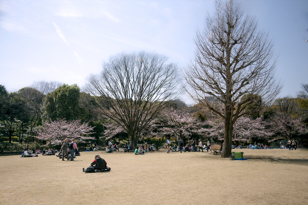 北の丸公園 06