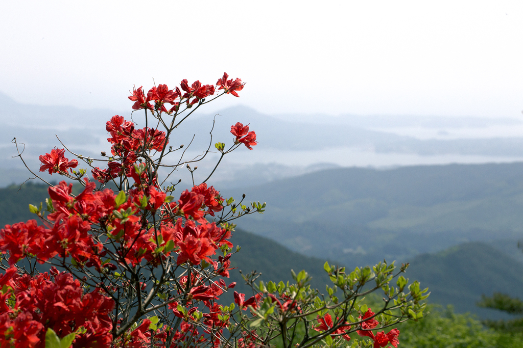 徳仙丈山 08