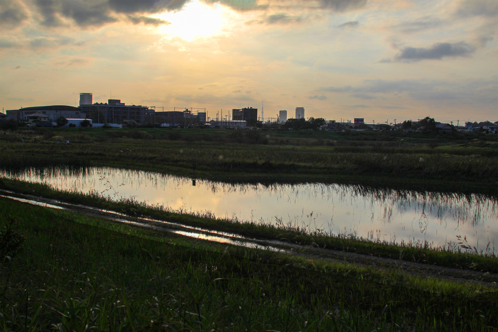 秋夕（大柏川遊池） 01