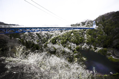 竜神峡 01