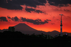 燃ゆる日没