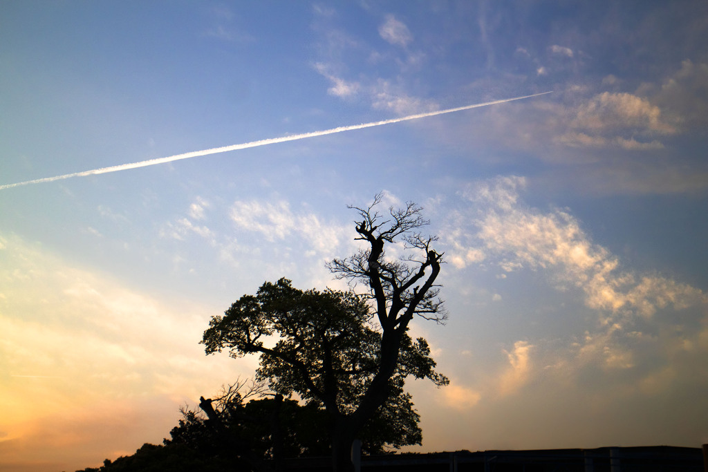 夕空一閃