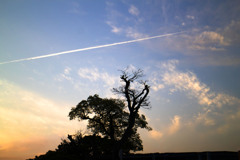 夕空一閃