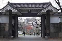 冬至の情景 10