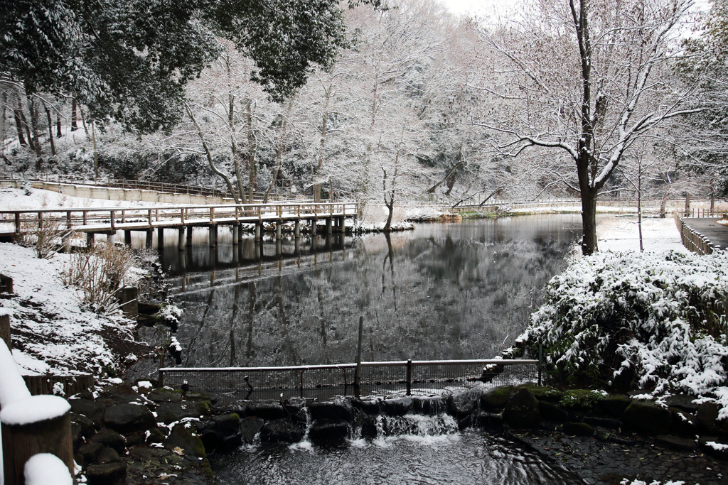 立春の雪景色（市川自然観賞園） 01