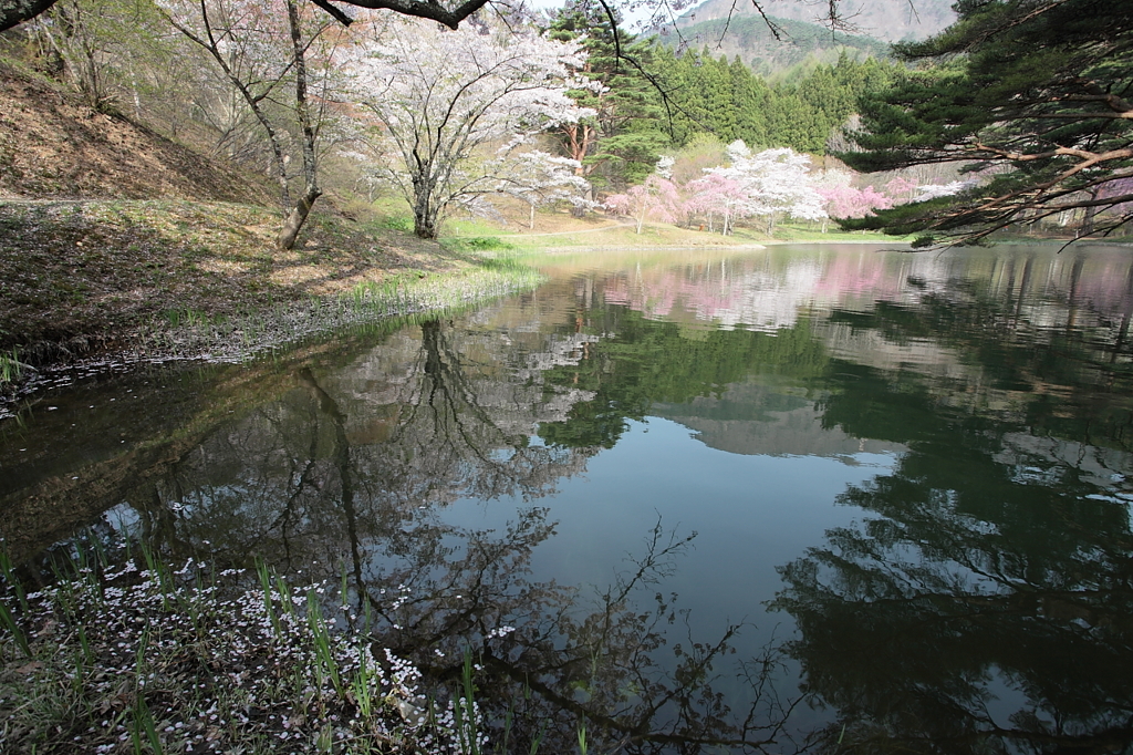 風の合間に・・・