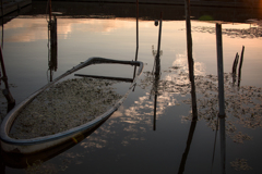 初秋の茜 （北浦・鹿島市）09