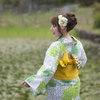 花菖蒲祭り 11
