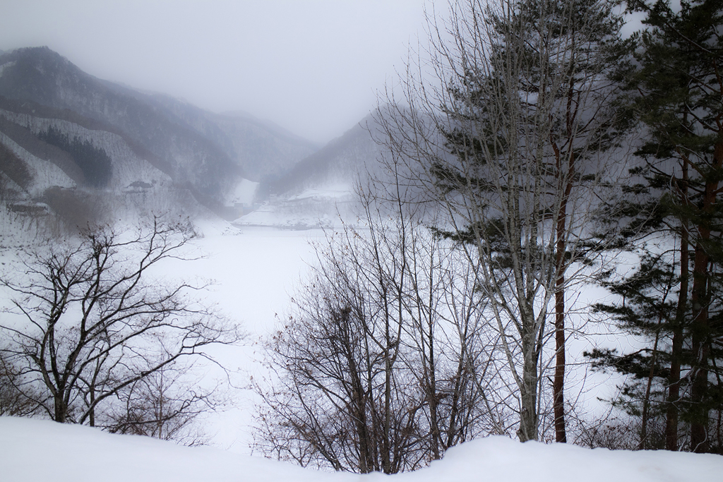 奥利根の雪景 06