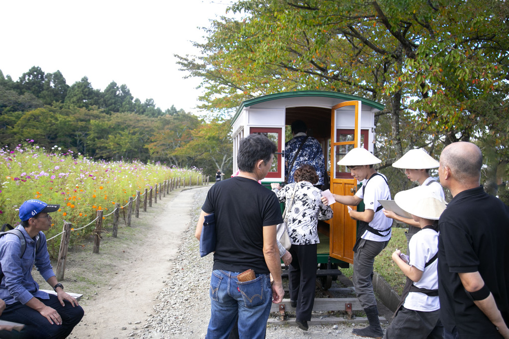 松山御本丸コスモス園 08