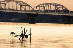 初秋の茜 （北浦・鹿島市）14