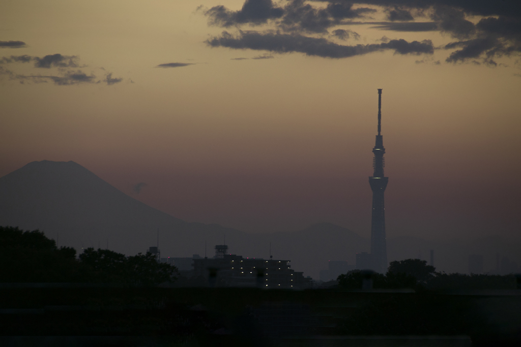 じっとり残照
