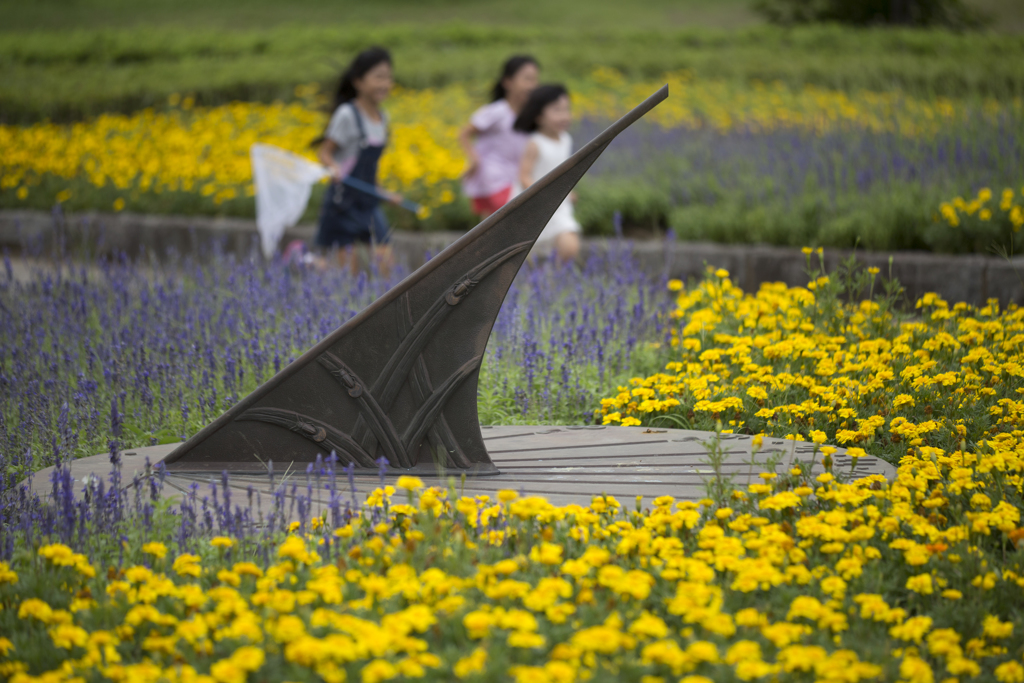 水辺のお花畑