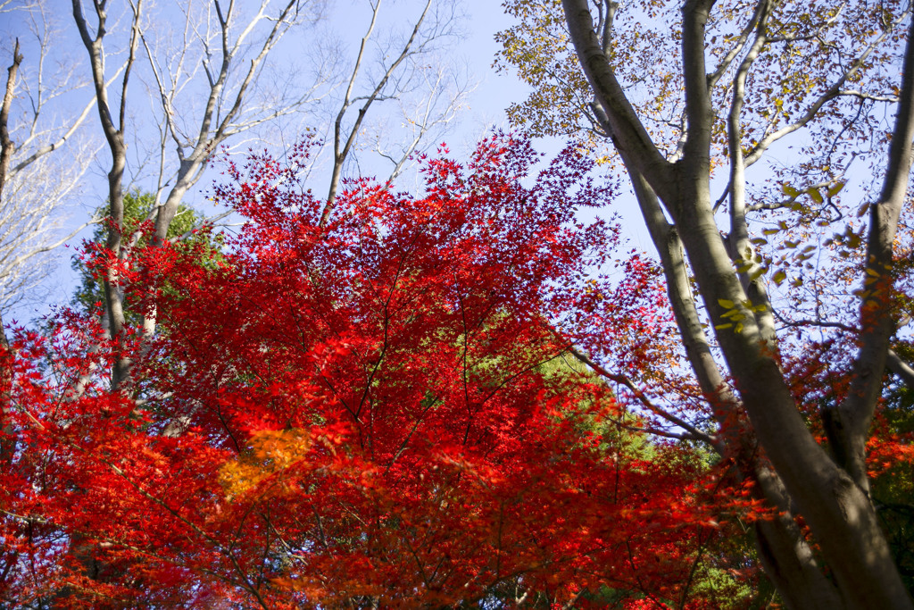 Climax beauty at the end 05