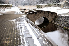 立春の雪景色（市川自然観察園） 06