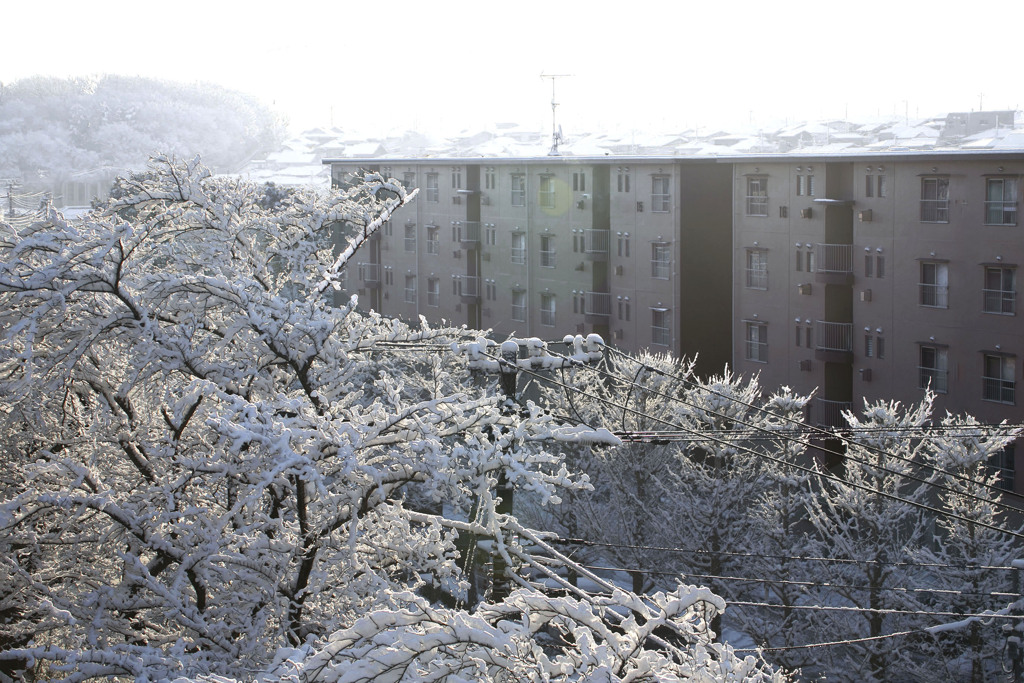 正月雪景色 02