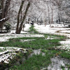 立春の雪景色（市川自然観察園） 11