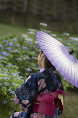 花菖蒲祭り 06