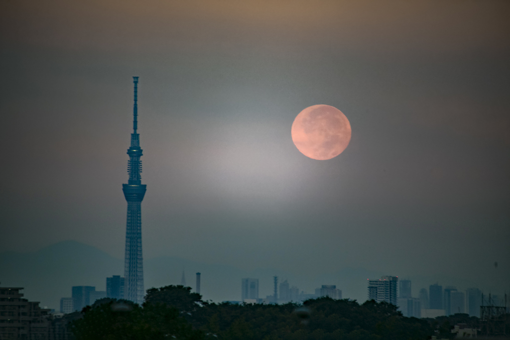 夜明けの満月 01