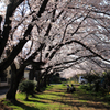 Spring Climax 05