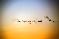千切れ雲の夕景 02