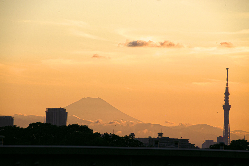 今年ベストの夏の日（夕景）01