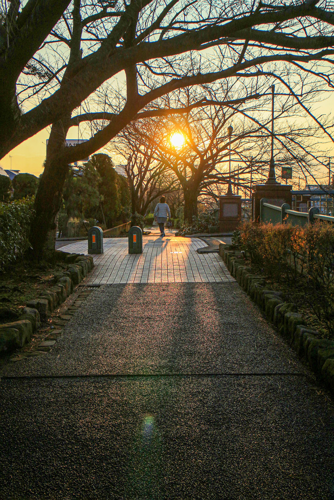 冬の散歩道 02