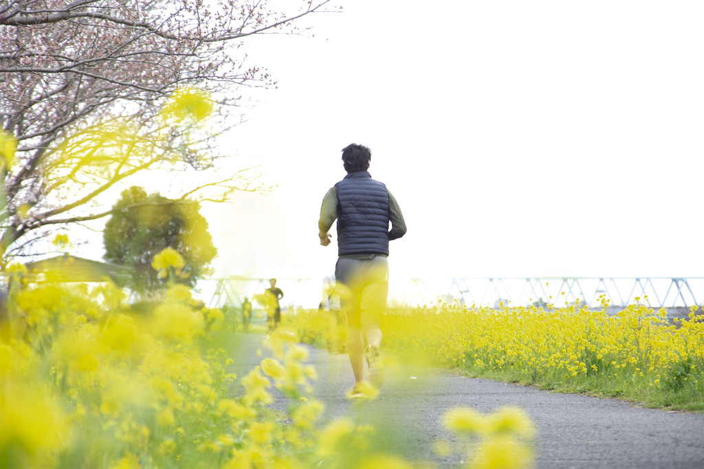 菜の花ロード 03