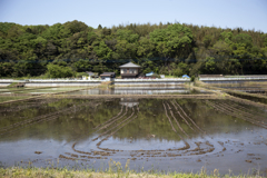 湖畔の里山 01