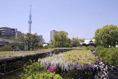 薫風 07