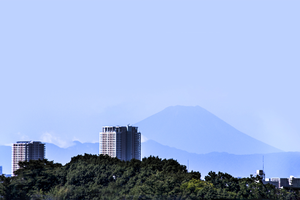 お久しぶり 富士山