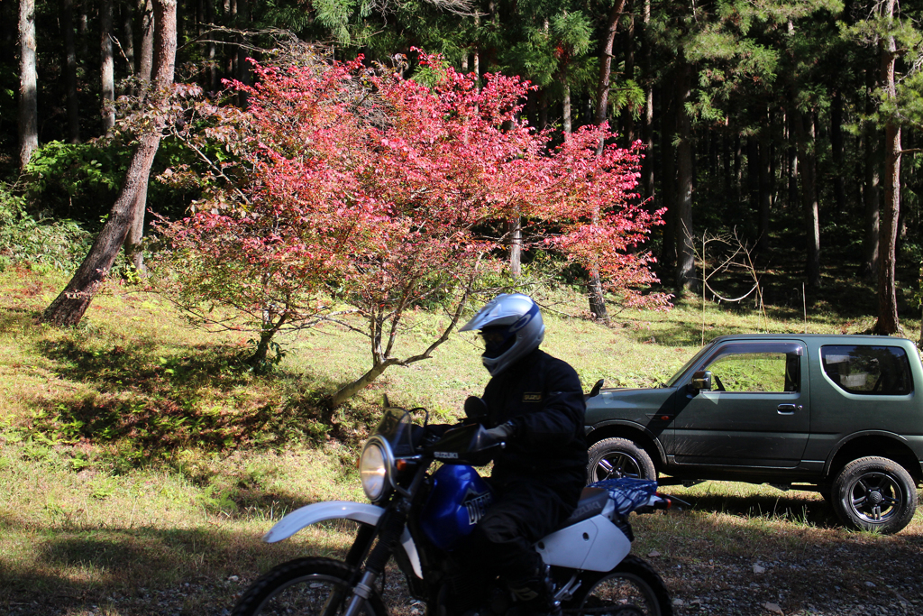 ダート林道ツーリング 01