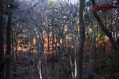 冬支度 01