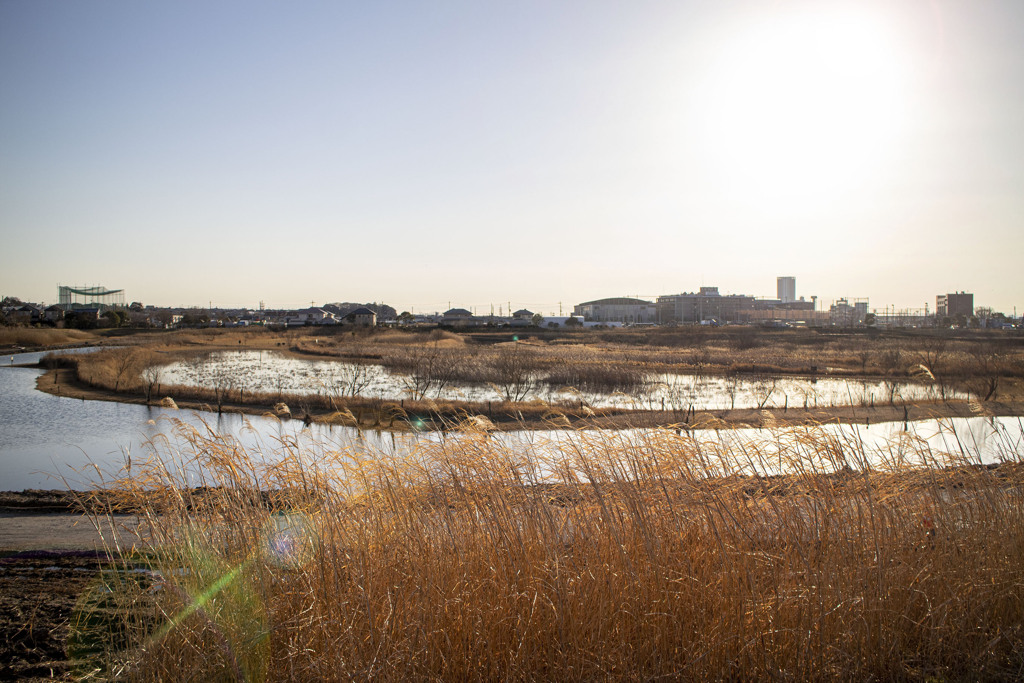 ウオーキングコース 02